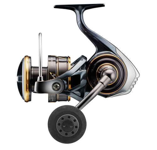 Daiwa Caldia 22 SW